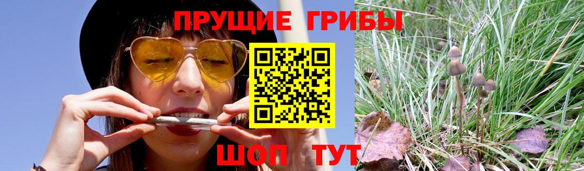 Галлюциногенные грибы ЛСД  Вход с VPN  Усть-Джегута 